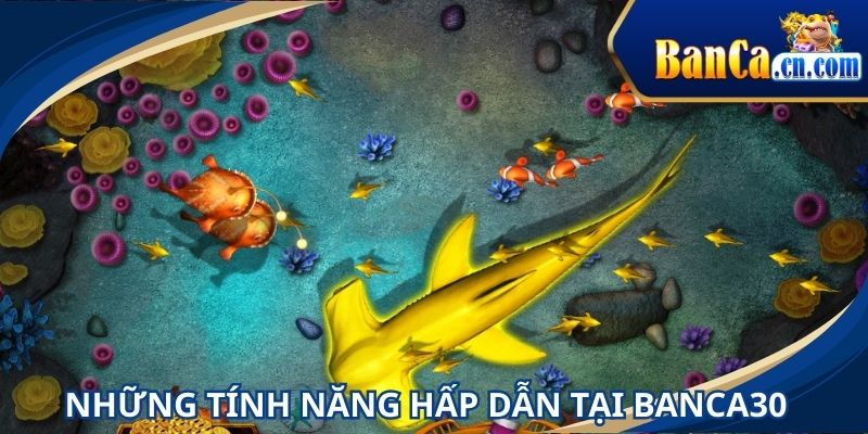 BANCA mang đến nhiều tính năng cực hấp dẫn