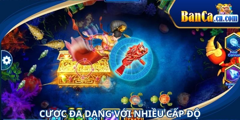 Cược đa dạng với nhiều phòng cấp độ khác nhau