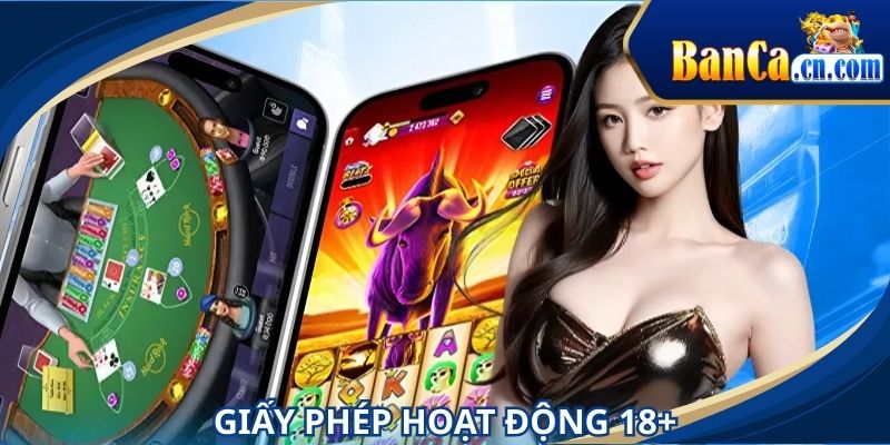 Giới thiệu về chứng nhận giải trí quốc tế 18+