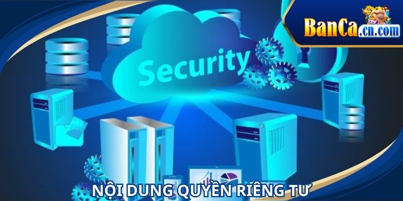 Nội dung được đề cập trong chính sách giải trí riêng tư