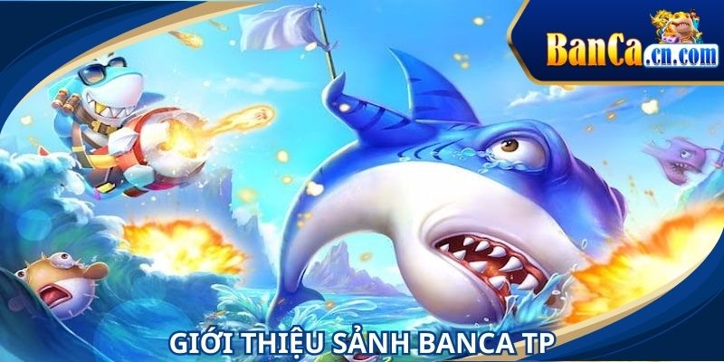 Sảnh BANCA TP luôn nhận được lượt truy cập khủng