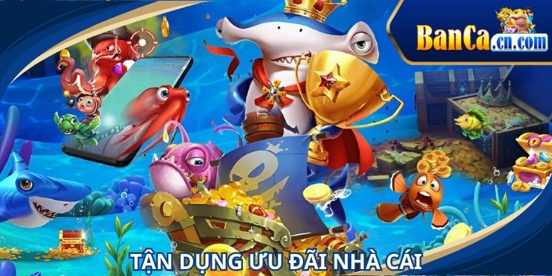 Tham gia ưu đãi nhà cái để nâng cao khả năng sinh lời